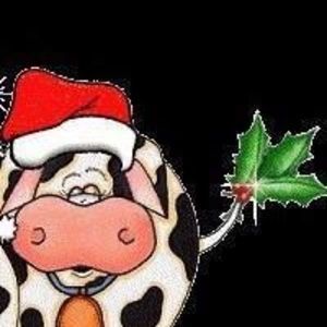 Meet your Posher, Jose